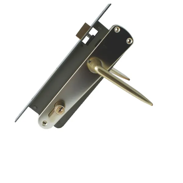 BROASCA SILD AURIU + BUTUC
