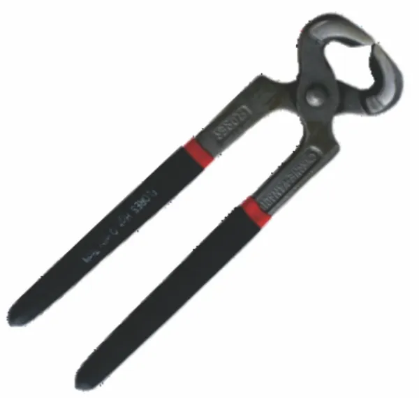 CLESTE